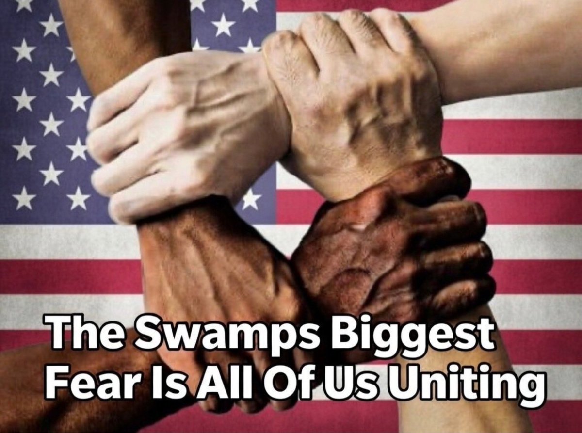 RealAndyFredes's tweet image. Heck yes!