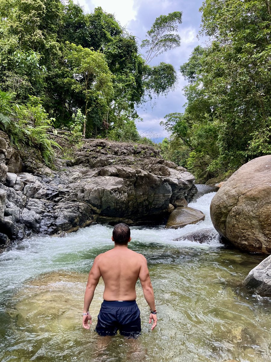Fregio90's tweet photo. Caquetá!💚 https://t.co/uwykCEDFa8