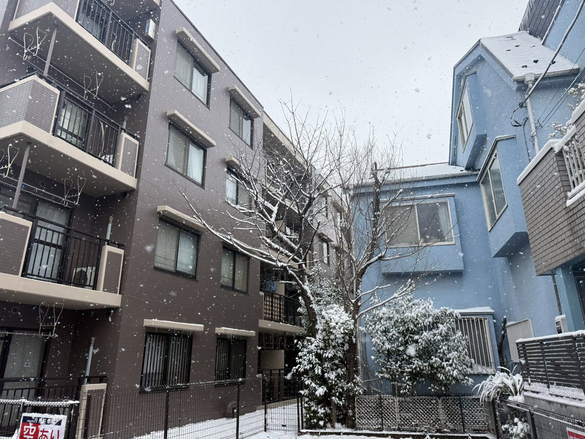 雪