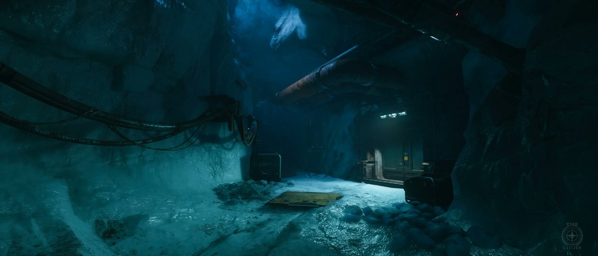 Tree0311 tweet media