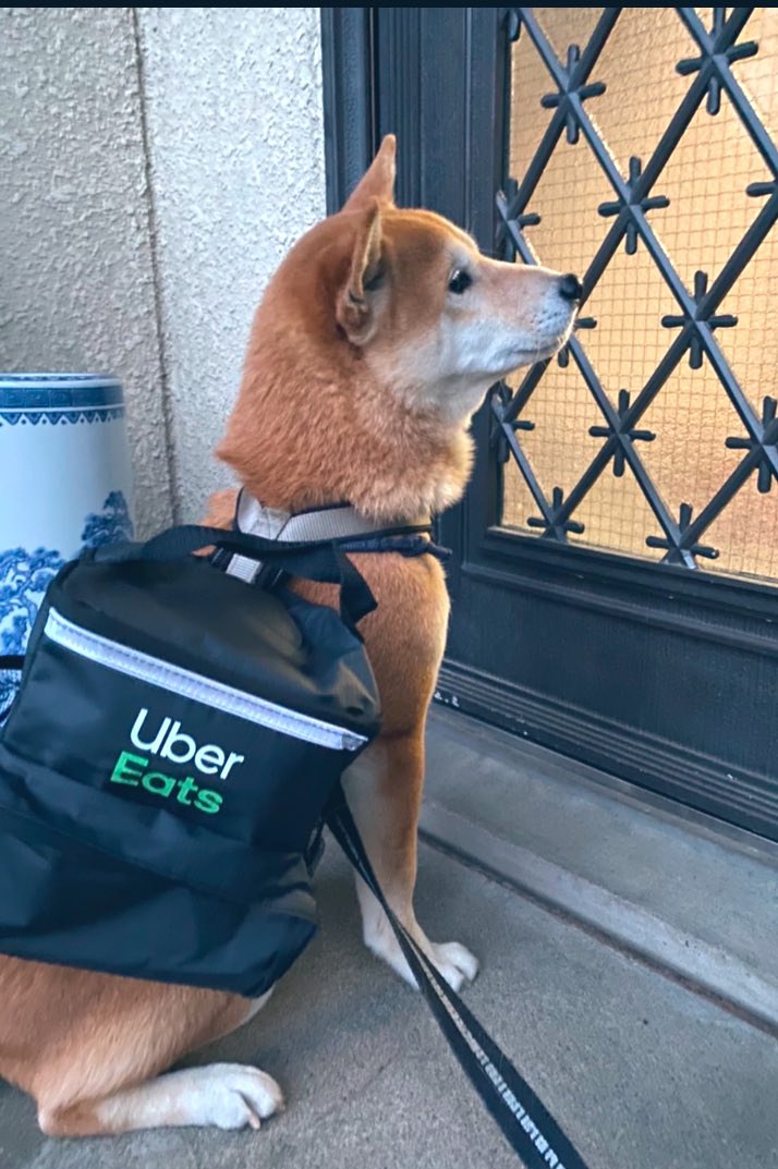 kobushi02180410's tweet photo. 投票行きましょう！
#uberDog https://t.co/z1eZmbDk5A