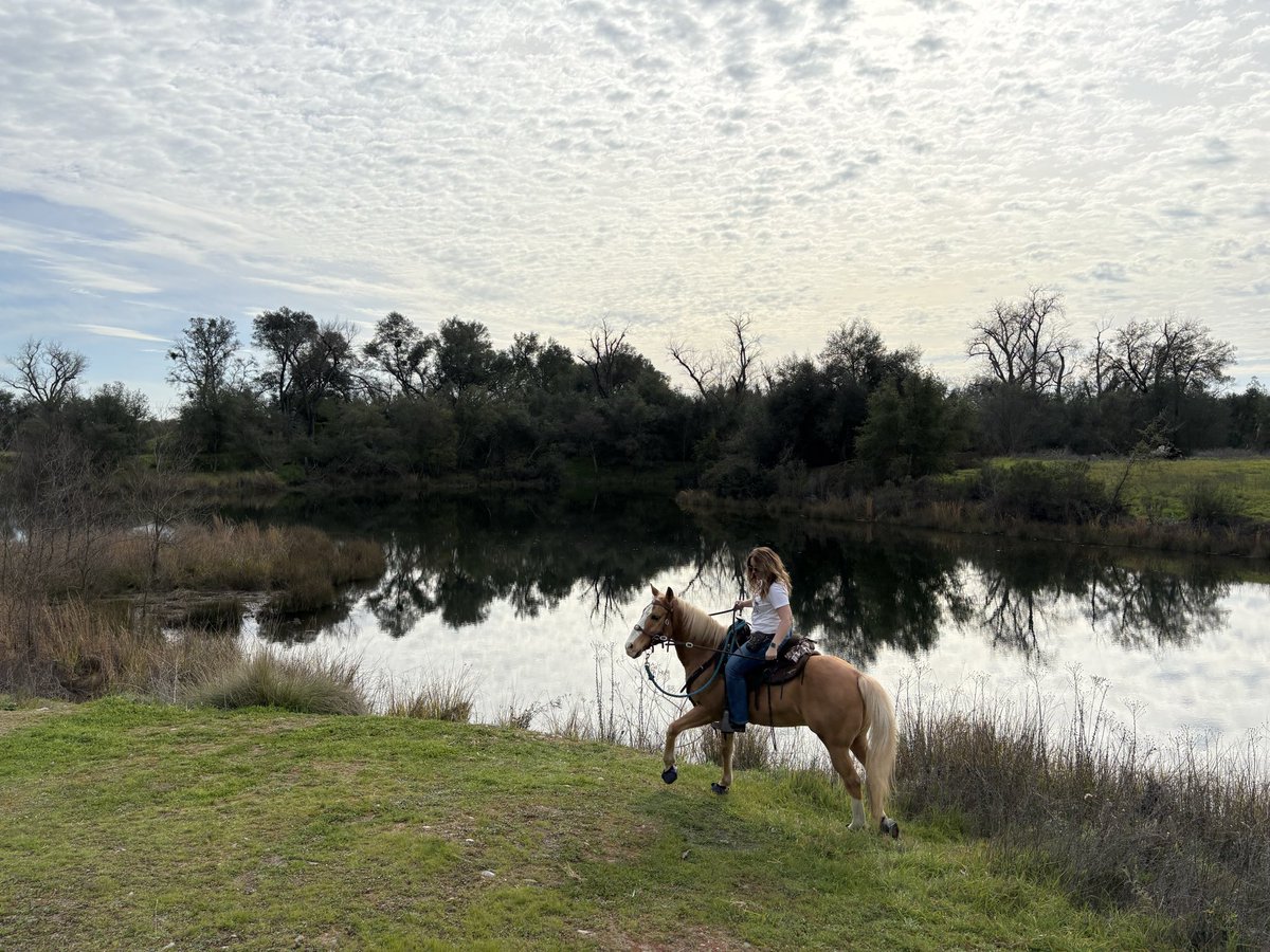 Great ride with Giovanna today