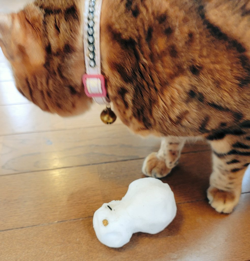 宇和川 恵美@ハリウッド式音声学ボイトレ&スマイルMFT認定トレーナー tweet media