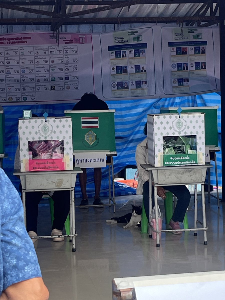 KinderJoy9393's tweet image. กรรมการหน่วยนี้มีสี่ขา