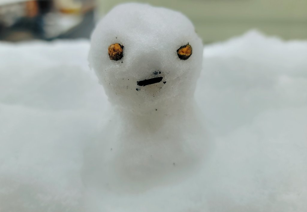 宇和川 恵美@ハリウッド式音声学ボイトレ&スマイルMFT認定トレーナー tweet media