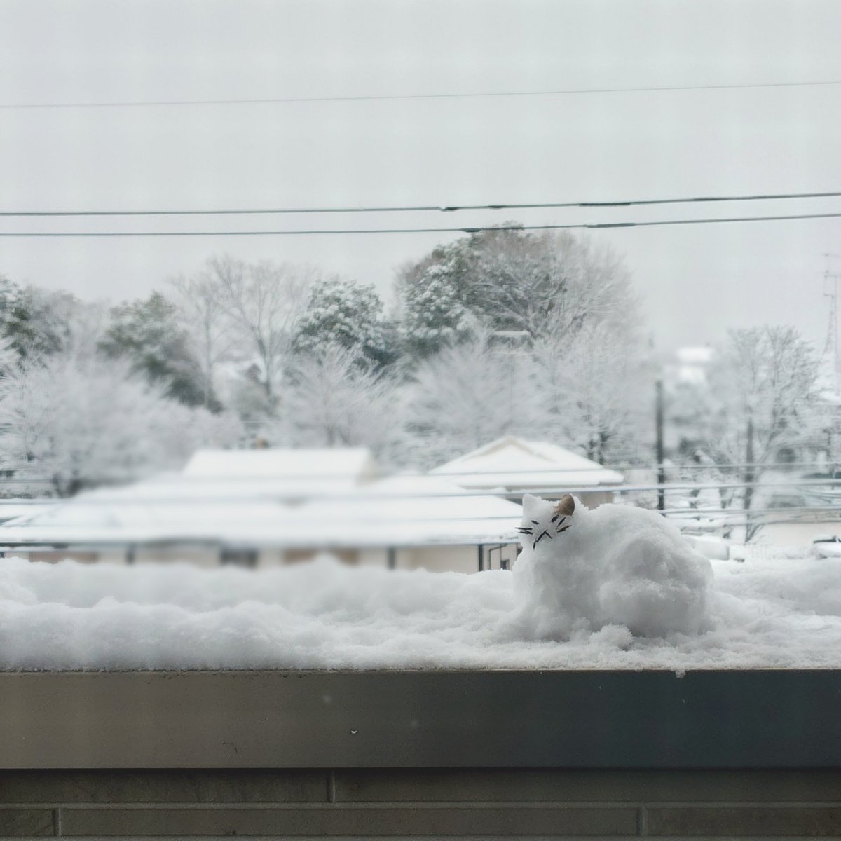 satoyuki tweet media