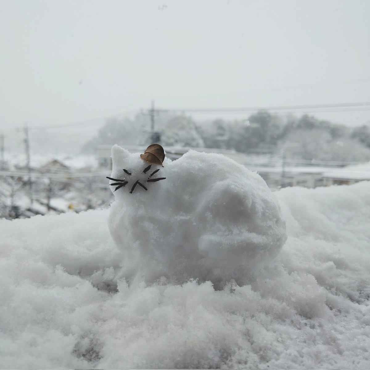 satoyuki tweet media