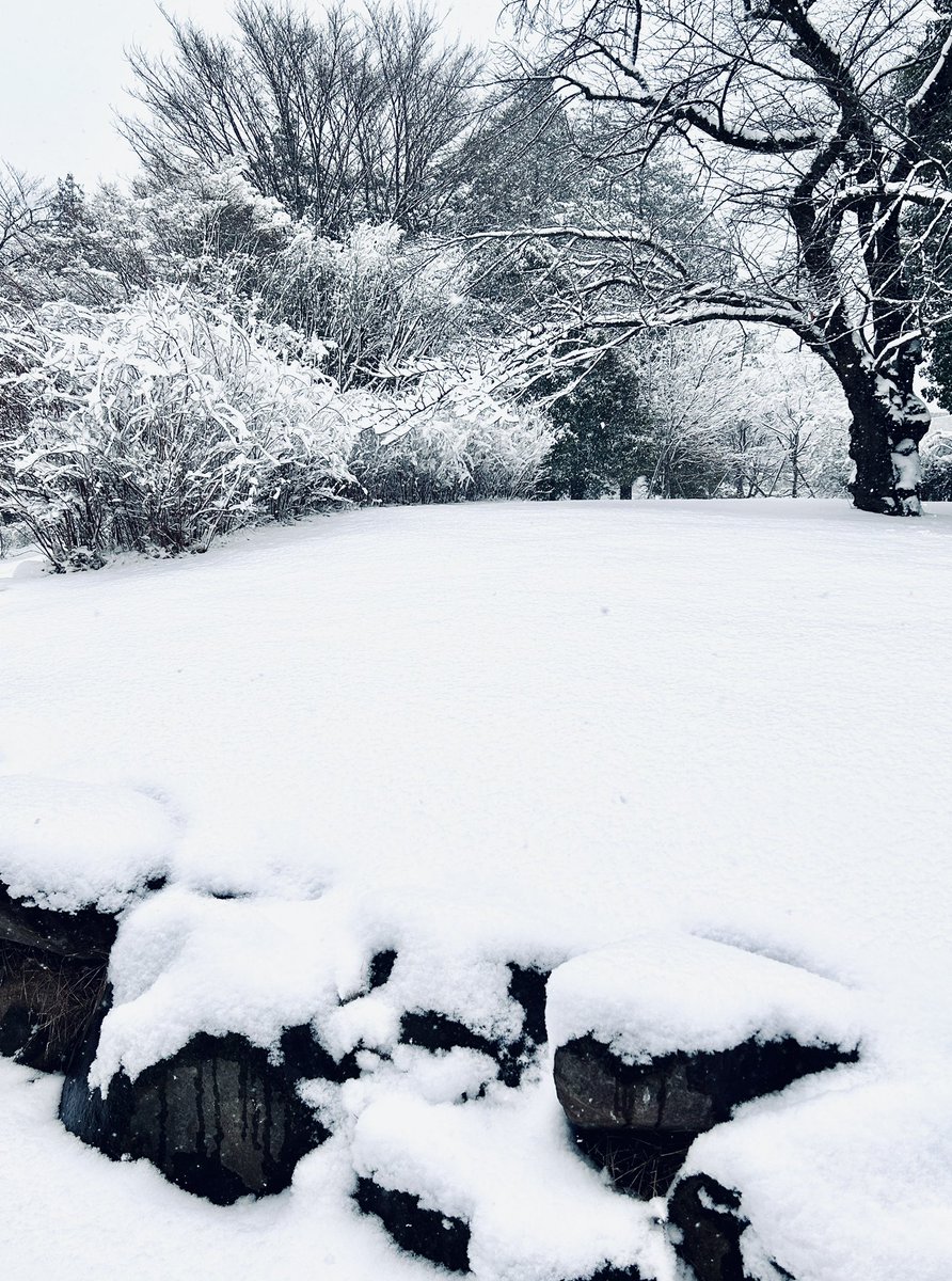 sone_design's tweet photo. 📷

Here's a photo of the snow in Setagaya, Tokyo, Japan today. https://t.co/GL3fxwF1Ds