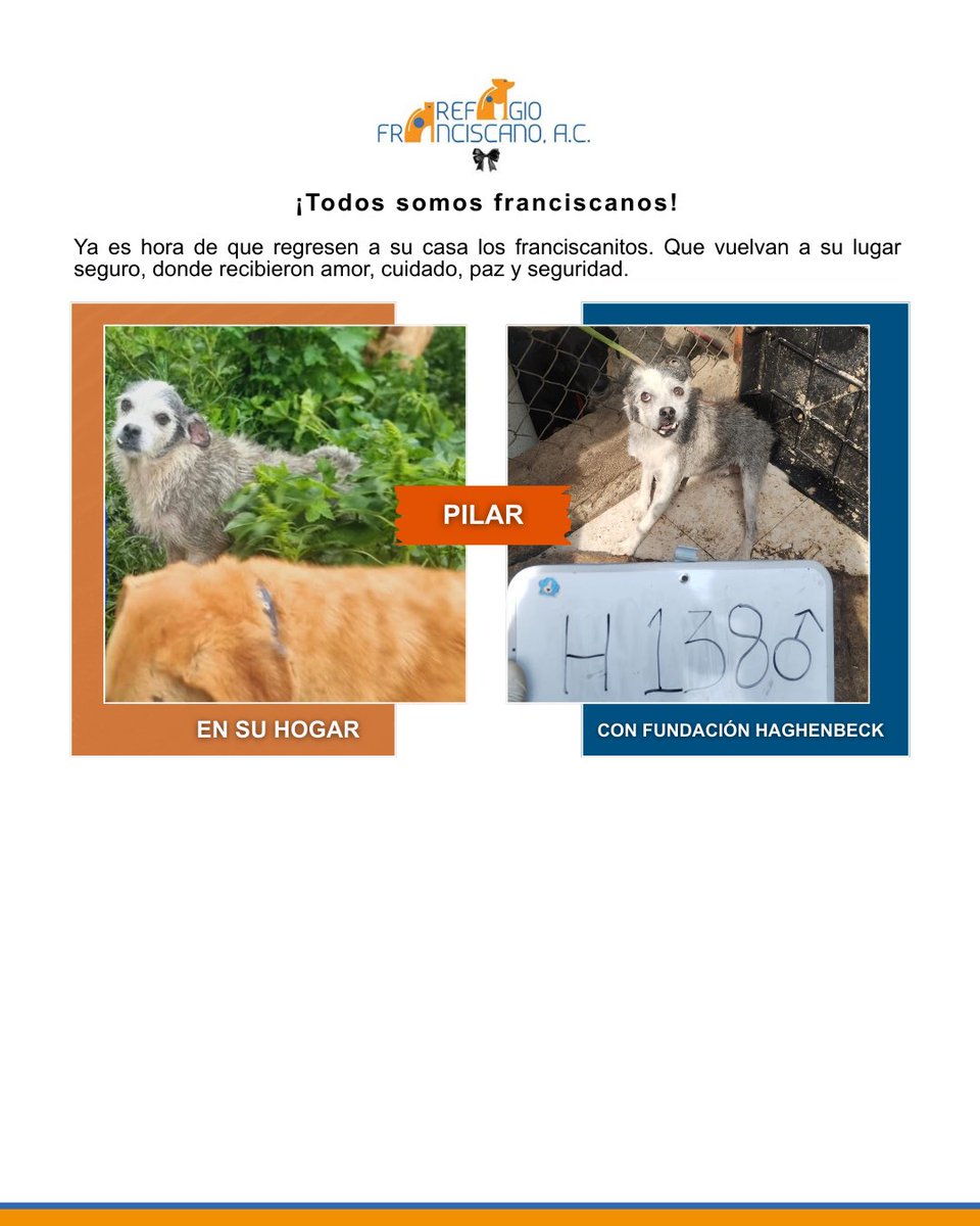 REFUGIO FRANCISCANO AC tweet media