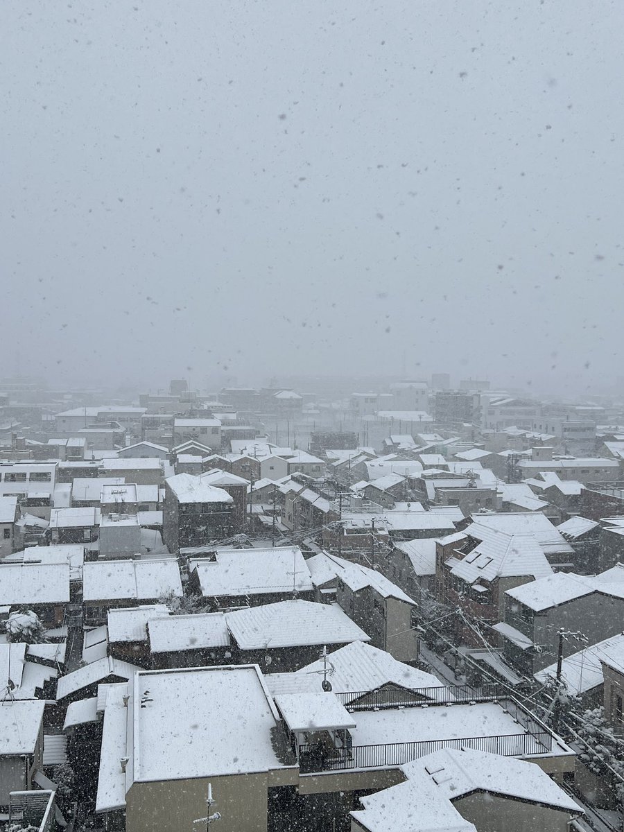 jtpro2's tweet photo. しんしんと雪が降っている。

迷惑がっている人がいるのは承知しているが雪景色は好きで気持ち穏やかになるし、戦いに出るにも気合いが入る。

「いざ、討ち入りでござる」と投票に行きたいが好きな候補者がいない。
中道の名も好きではない。

無駄死にしても書こうかな。
『小沢一郎』『自由党』と。 https://t.co/k0o9O4Y2K6