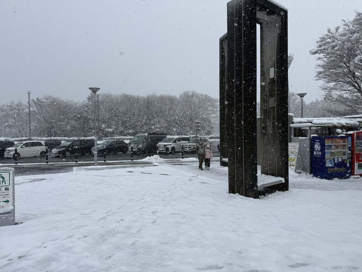 ていとも tweet media