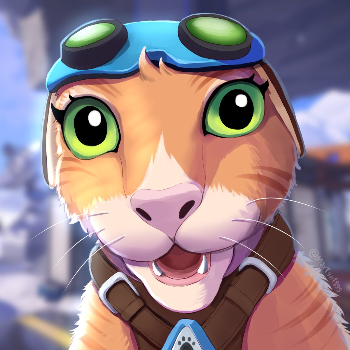 Martyn1895's tweet photo. Jetpack Cat face meme #Overwatch https://t.co/p6Q3u1trCg