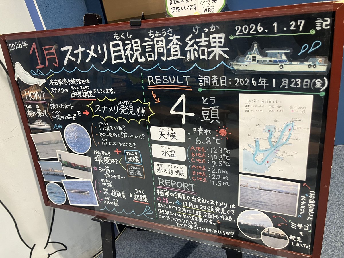 スナメリいなさすぎでは？？
そりゃ見つからん訳だ。

去年はもっとホイホイいたし、適当にスタジアムから海を眺めてたら見つかった。
