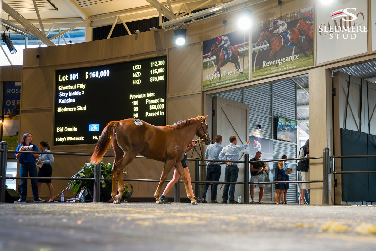 Sledmere Stud tweet media