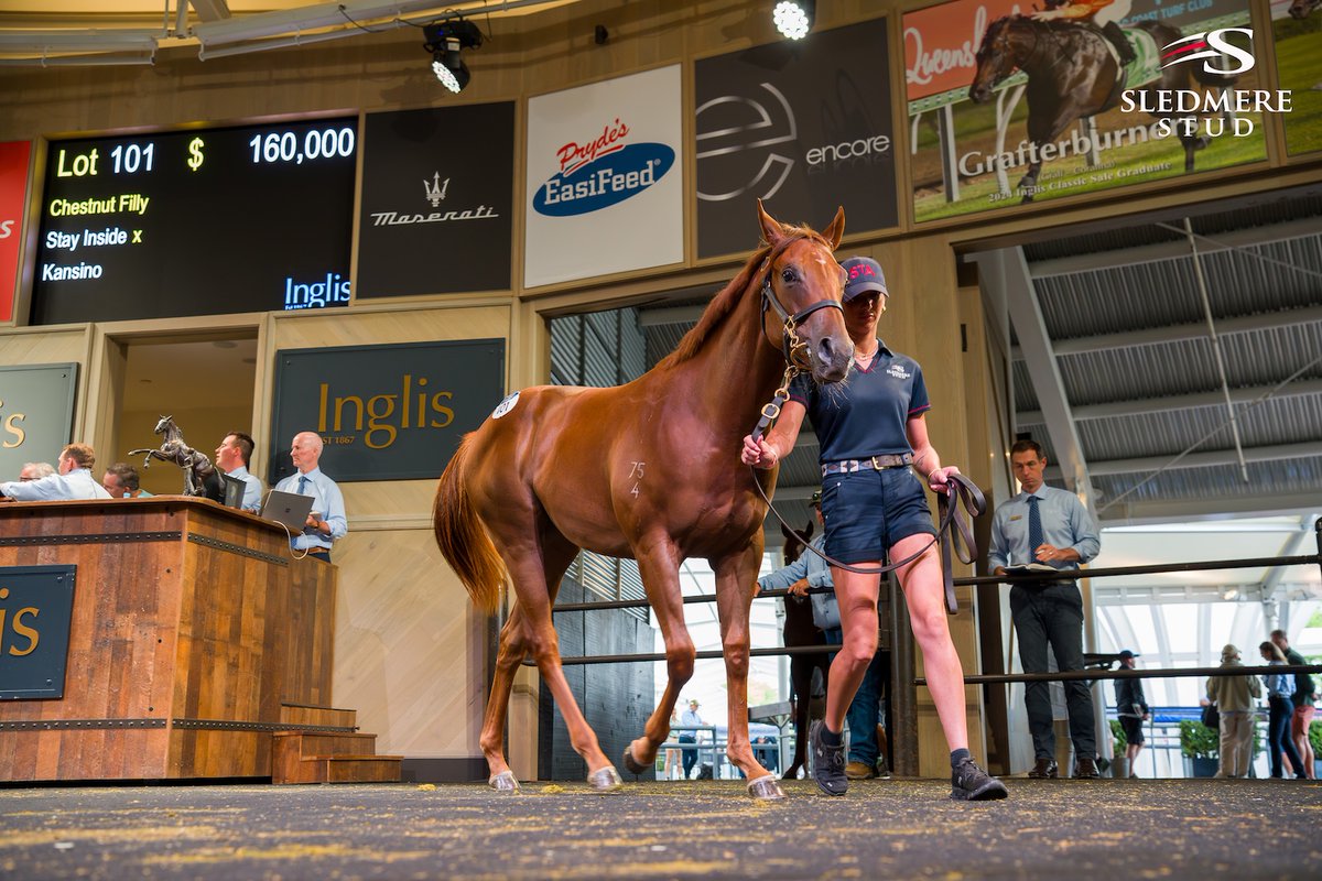 Sledmere Stud tweet media