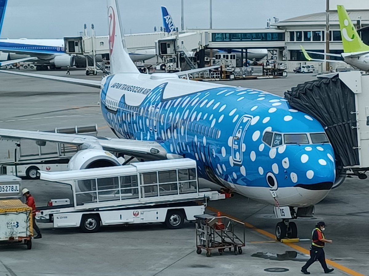 #JAL
の、生涯搭乗回数
996回目の機体