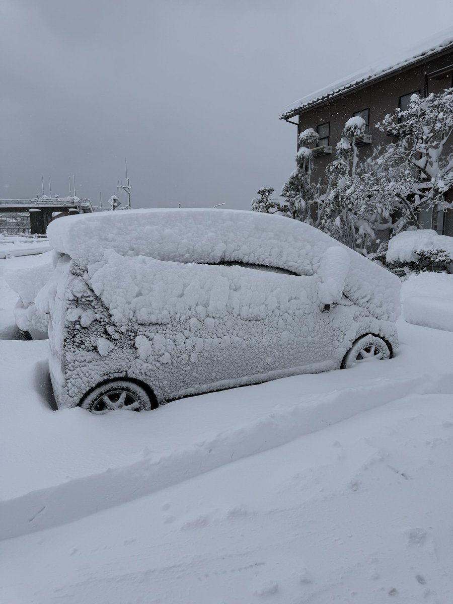 pulsar_xi's tweet photo. @HisaMato1222 めっちゃ積もってヤバいっ🥶 https://t.co/OTvHsoQwcx