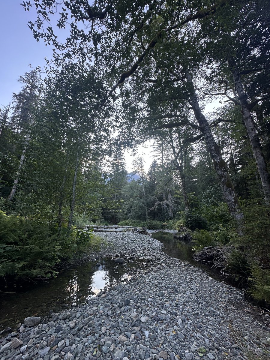 Hank 🇺🇸 tweet media