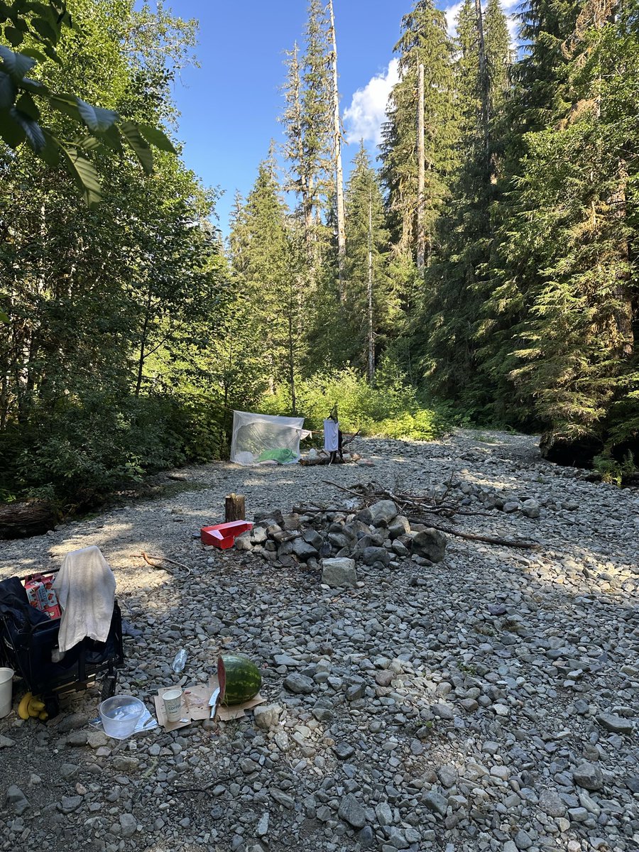 Hank 🇺🇸 tweet media