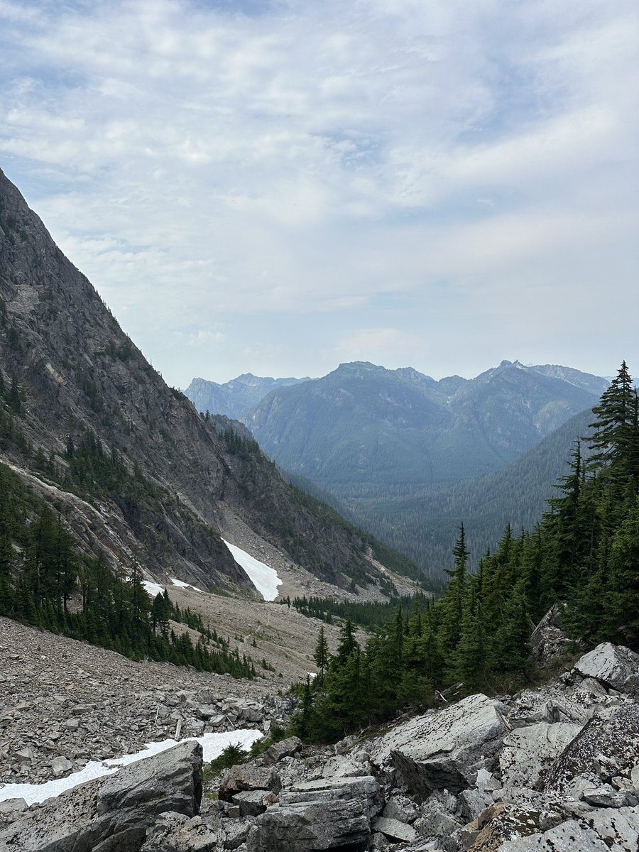 Hank 🇺🇸 tweet media