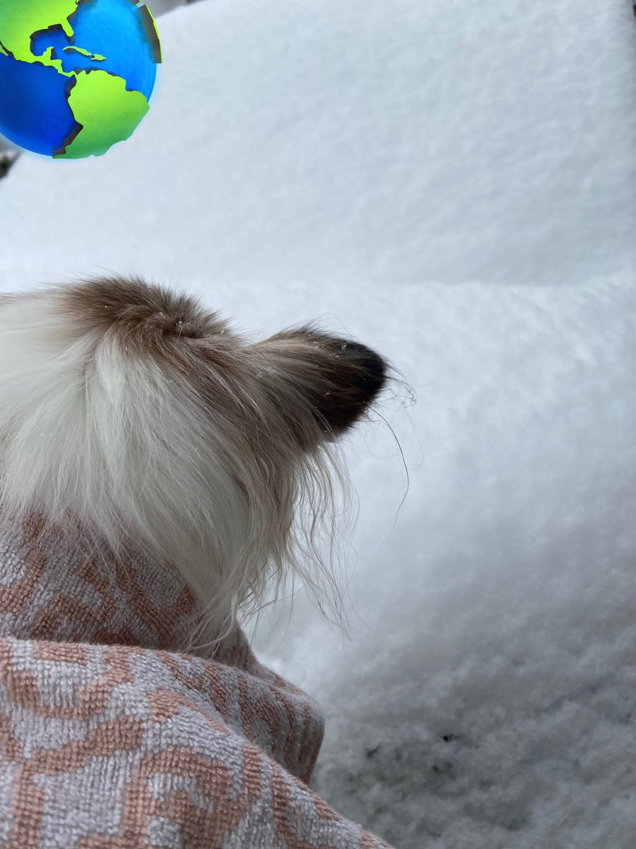 うにまる。（ちゃんねる。） (@unimaru1031) / Posts / X