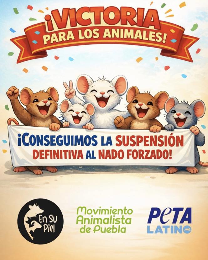 Movimiento Animalista de Puebla tweet media