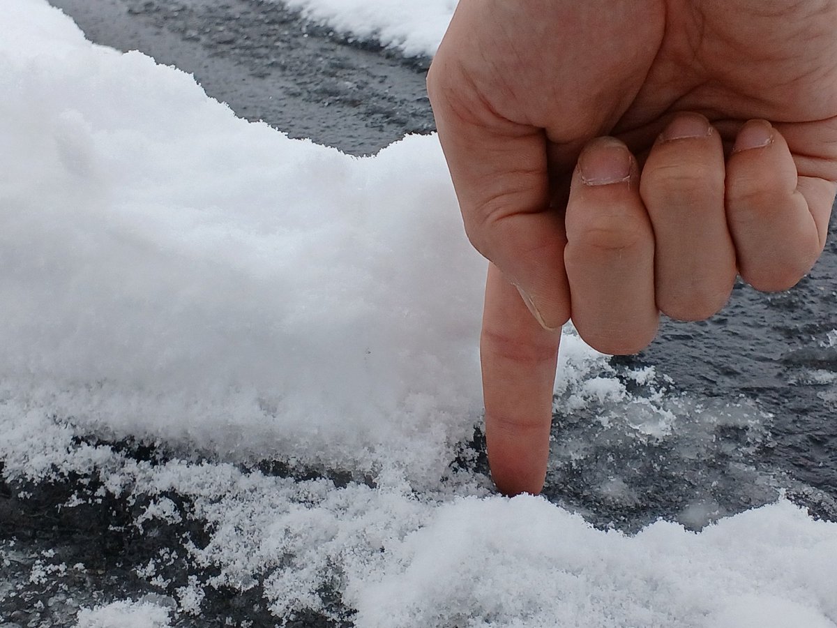 ホビーオフ愛川店 tweet media