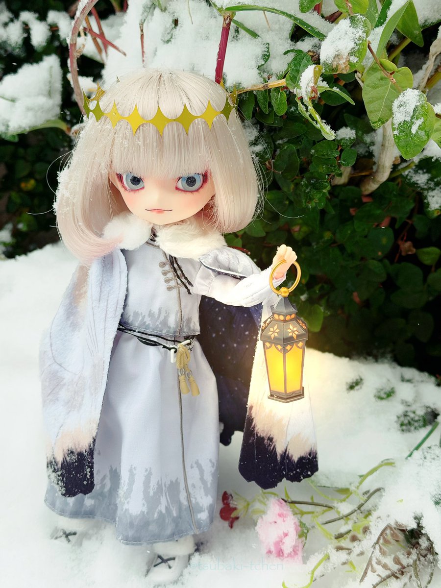 ハルモニアブルーム