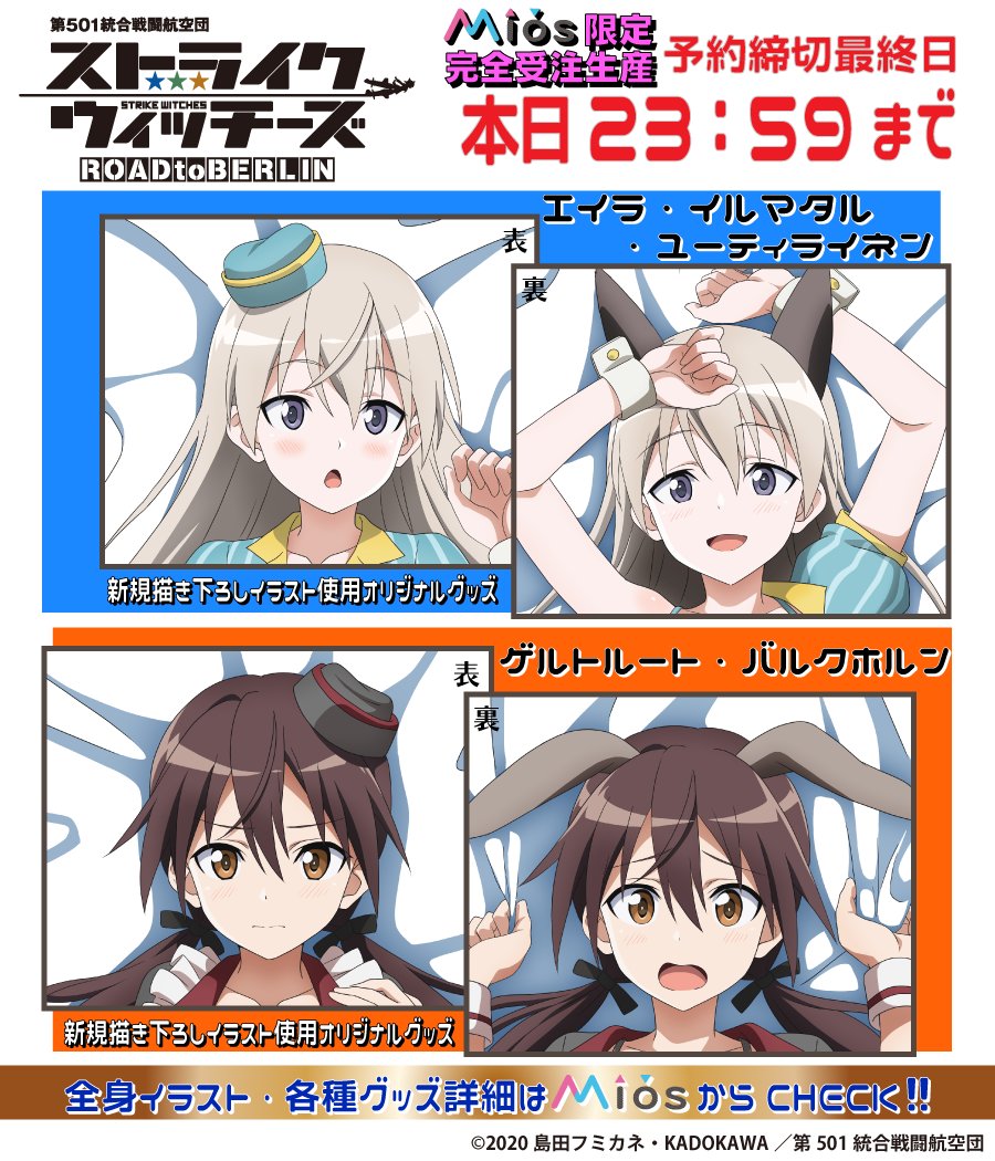 ◤最終日＊残り24時間を切りました＊◢ TVアニメ「第501統合戦闘航空団