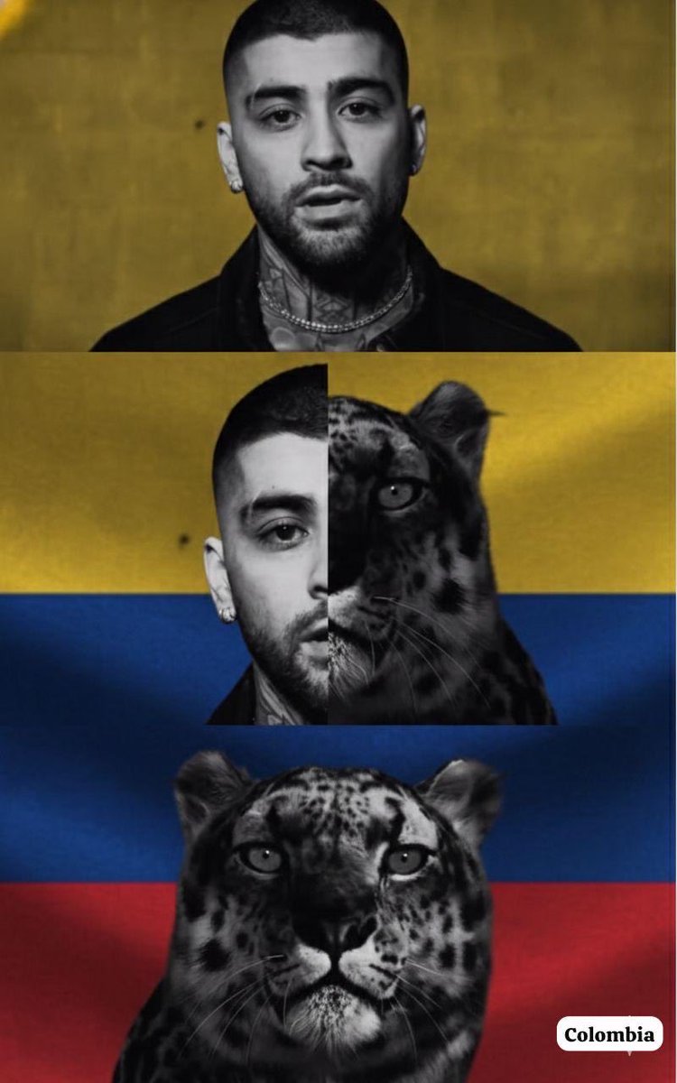 _soff_st's tweet photo. #ColombiaNeedsZayn @inZAYN @zaynmalik https://t.co/4AZZljPLy1