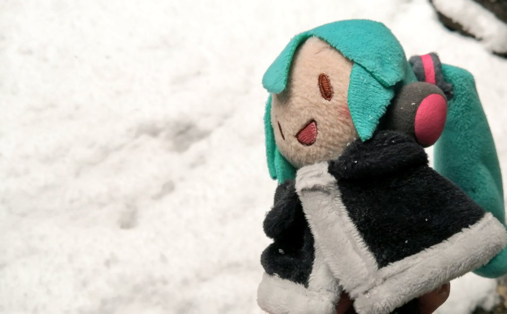 ゆき！？

雪だね

ゆきだー