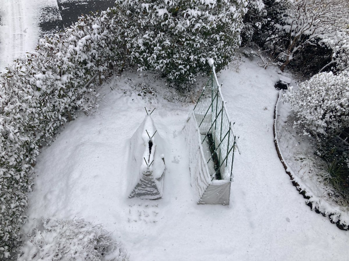 庭 #菜園 #椿峰ニュータウン 2026年2月8日 #雪 #積雪