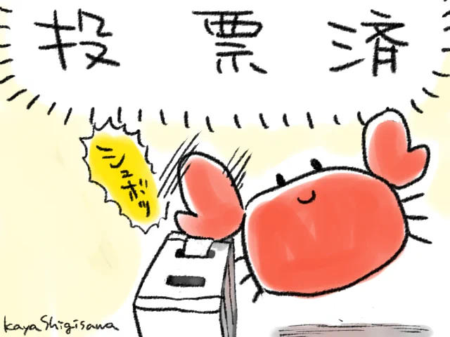 我々の未来は我々のもの、でありますように
すこしでもよい方向へ行きますように
すこしでも辛く悲しい人が減りますように
くらしにうれしいたのしいことがありますように
生きててよかったなあて思える日がくるように

選挙権の行使、だいじ 
