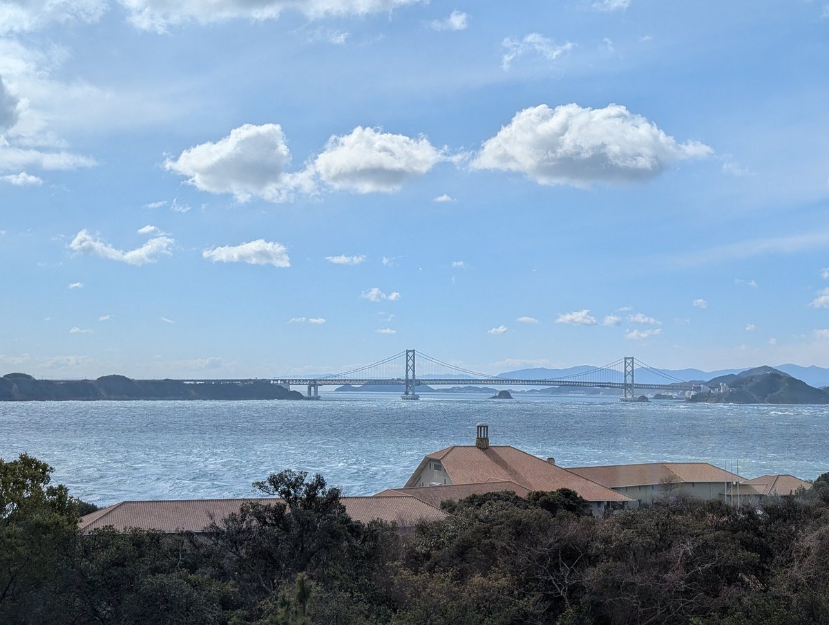 トンピ～ tweet media