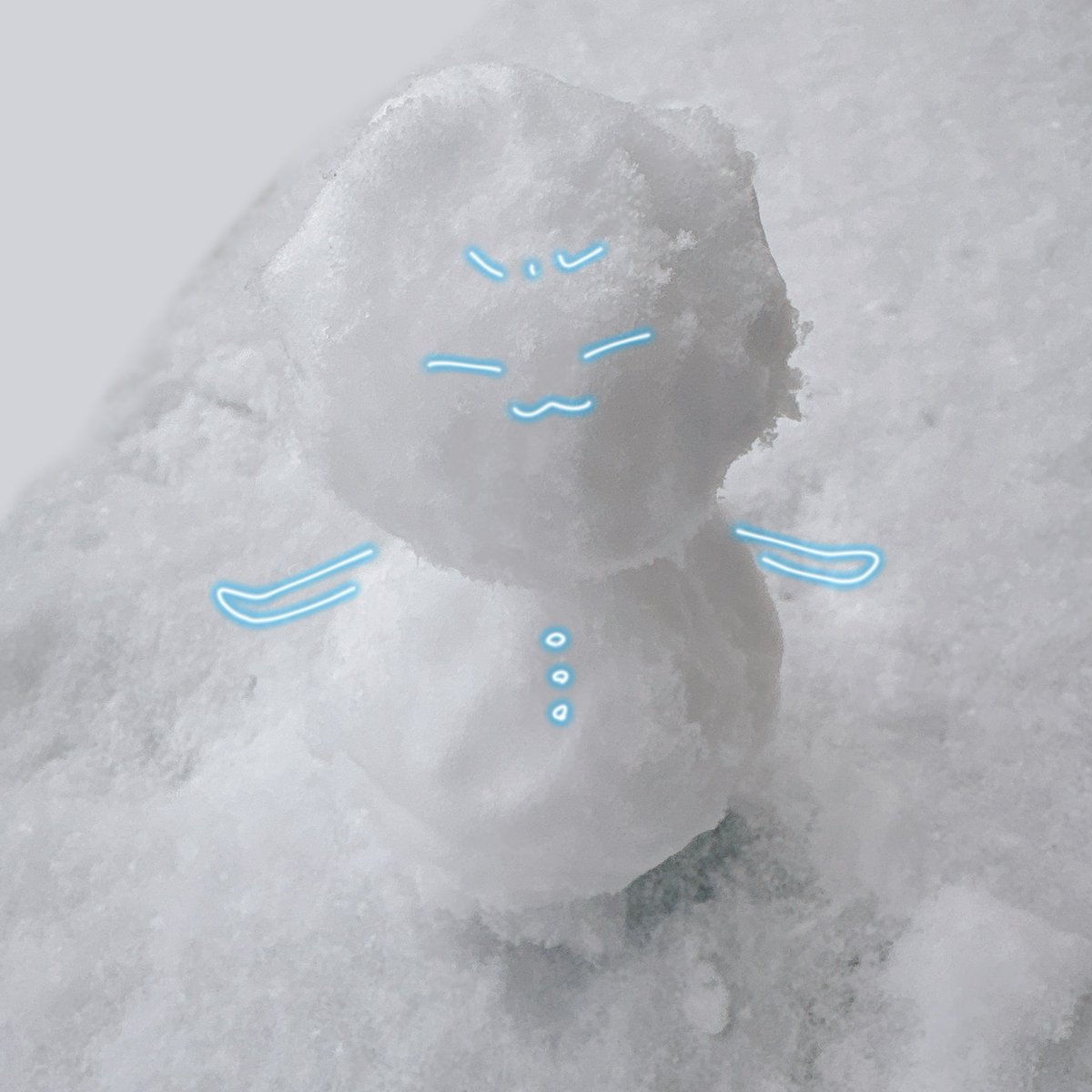 雪ーーーーーッ！！！