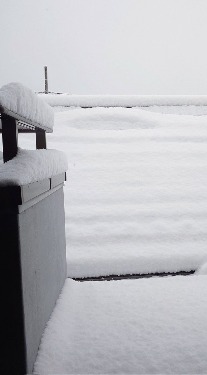 真っ白～ 結構積もってる！
 #雪   #ベランダが真っ白