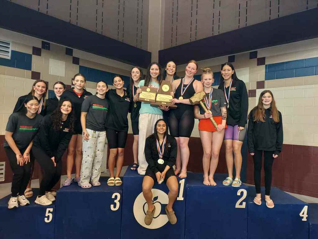 HIGHLANDER SWIM & DIVE tweet media