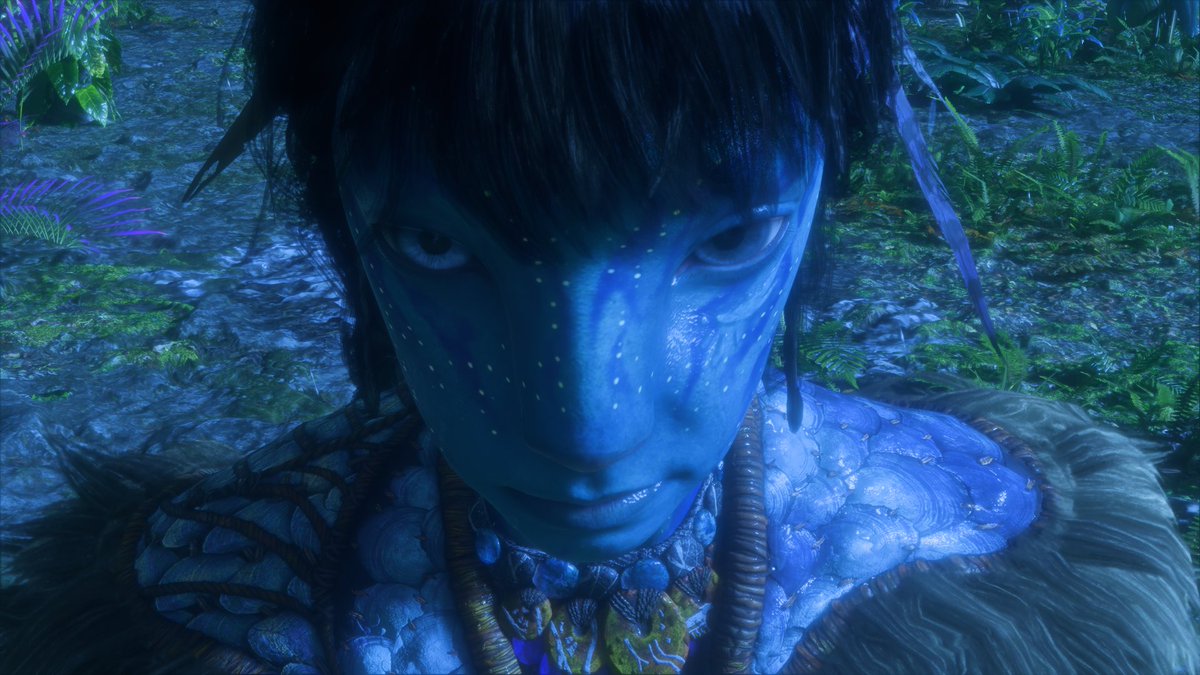 kam 𓏲๋࣭࣪˖🪼.ᐟ tweet media