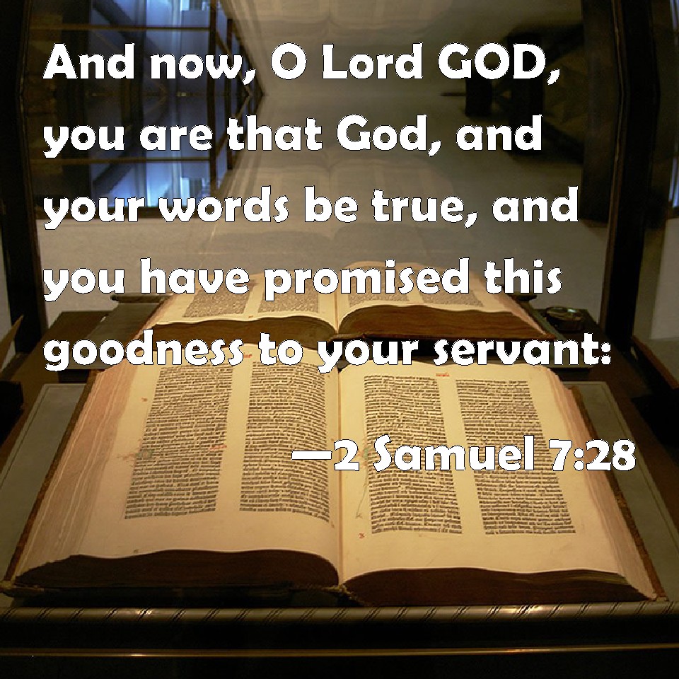 King David had profound faith in God’s promises, recognizing God as the one true God who always keeps His word and has made wonderful promises to him and his descendants. David prayed in 2nd Samuel 7:28,...