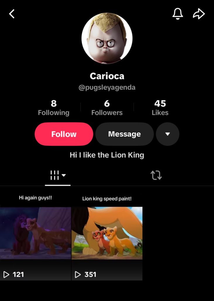 warning to those in the splatoon community: serial harasser and stalker eeldealgua has made a new tiktok account and now goes by the name carioca. shes also close friends with mo/tuf, who is a groomer as well as another serial harasser, stalker and doxxer