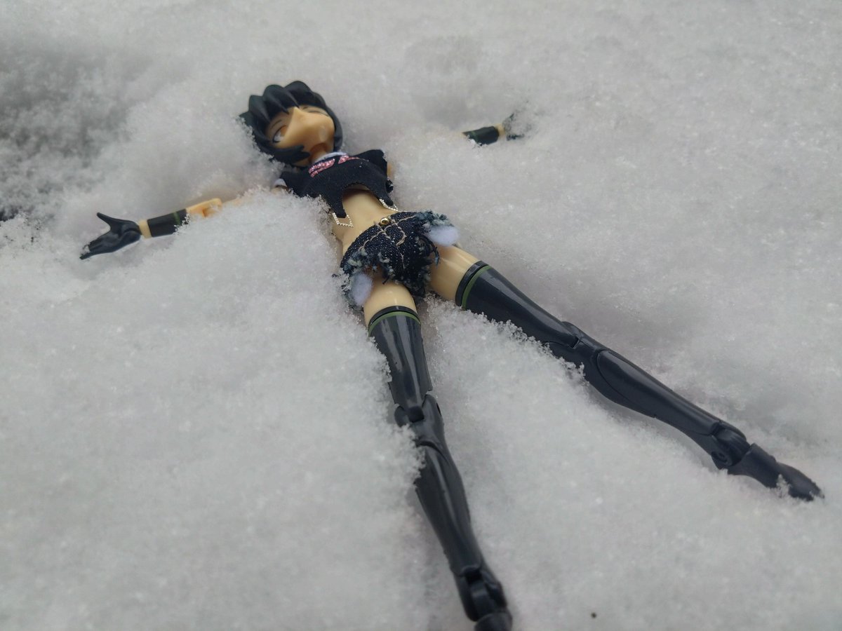 雪にテンション上がりすぎな犬型
#武装神姫