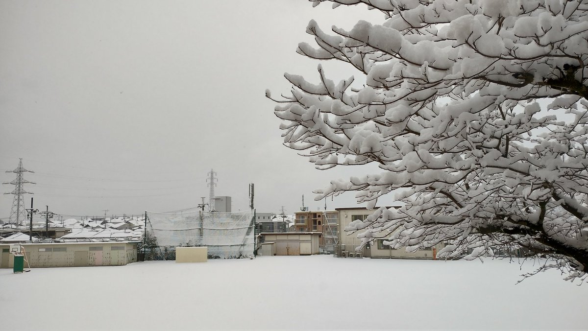 投票所の外の雪景色。フェンスの穴には雪が詰まっている。