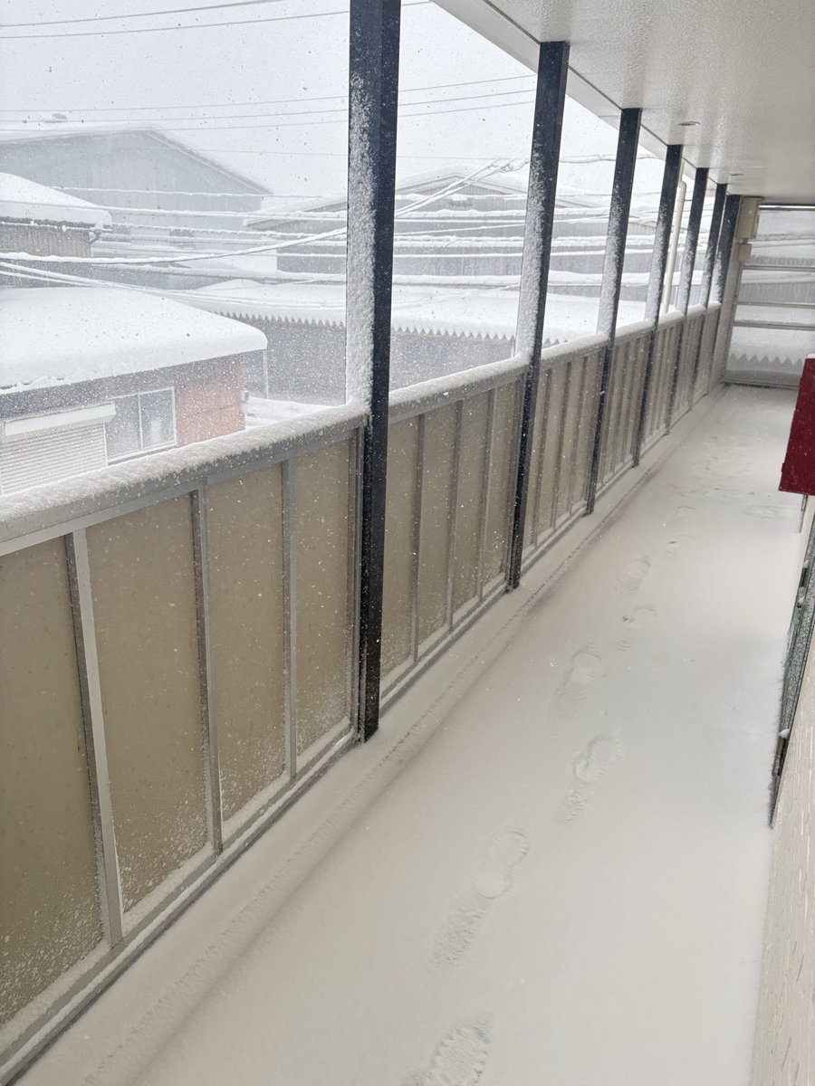 Stuctakac's tweet photo. 吹雪いてて屋根もあるのにこれだから完全引きこもり日和⛄️ https://t.co/Q2jOnPy0fY