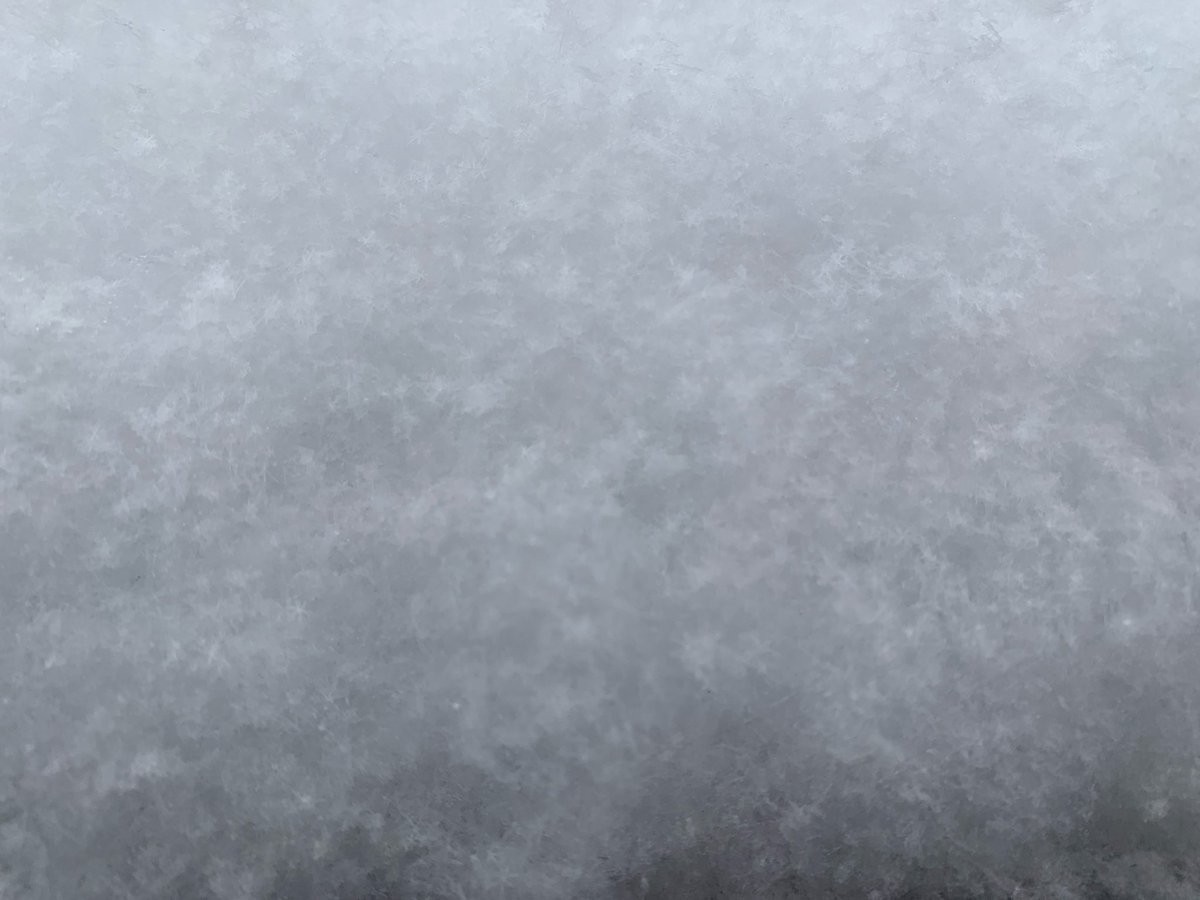 なつこ tweet media