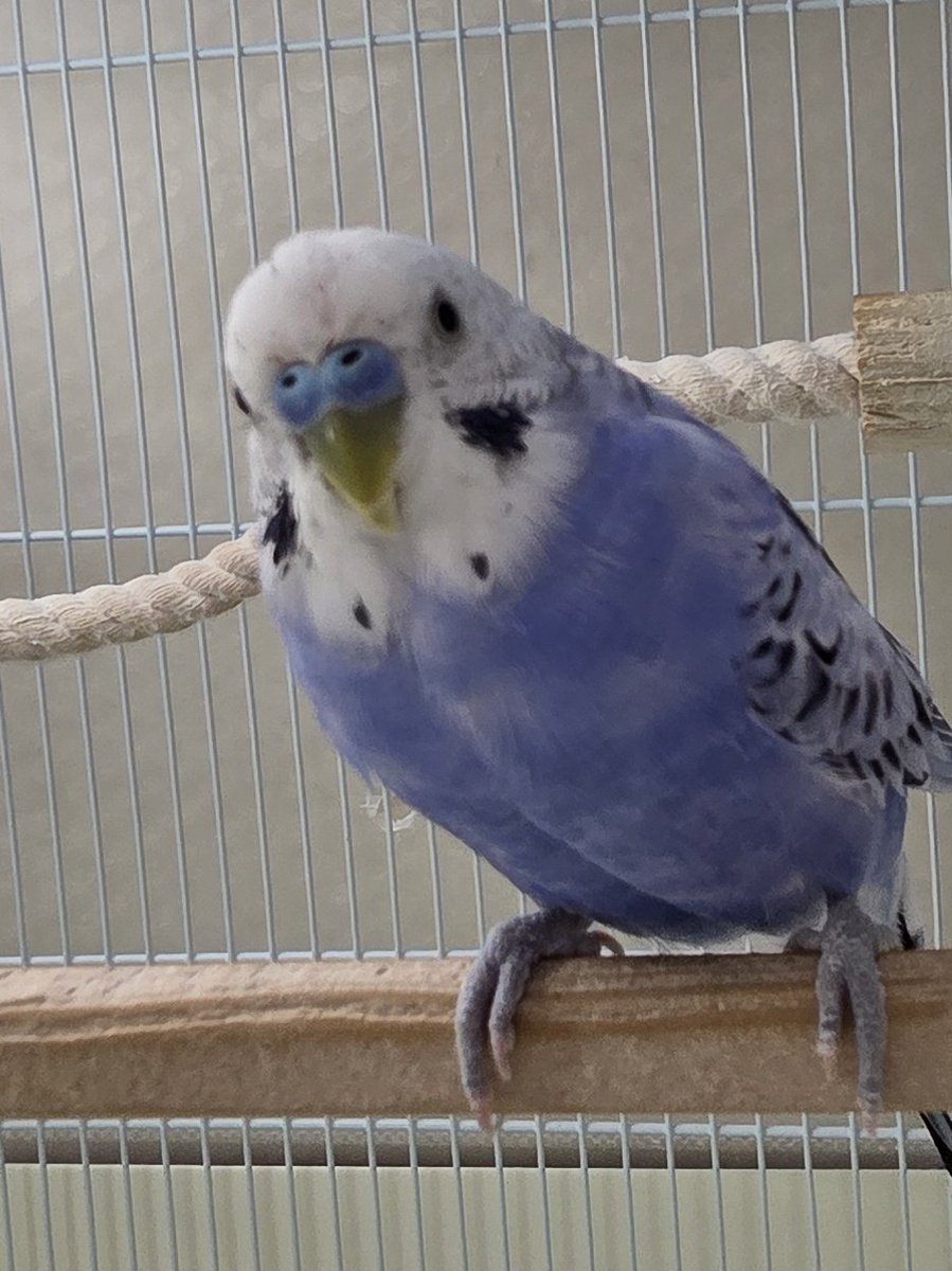 ちっこくて可愛い生き物🤞🏻💙