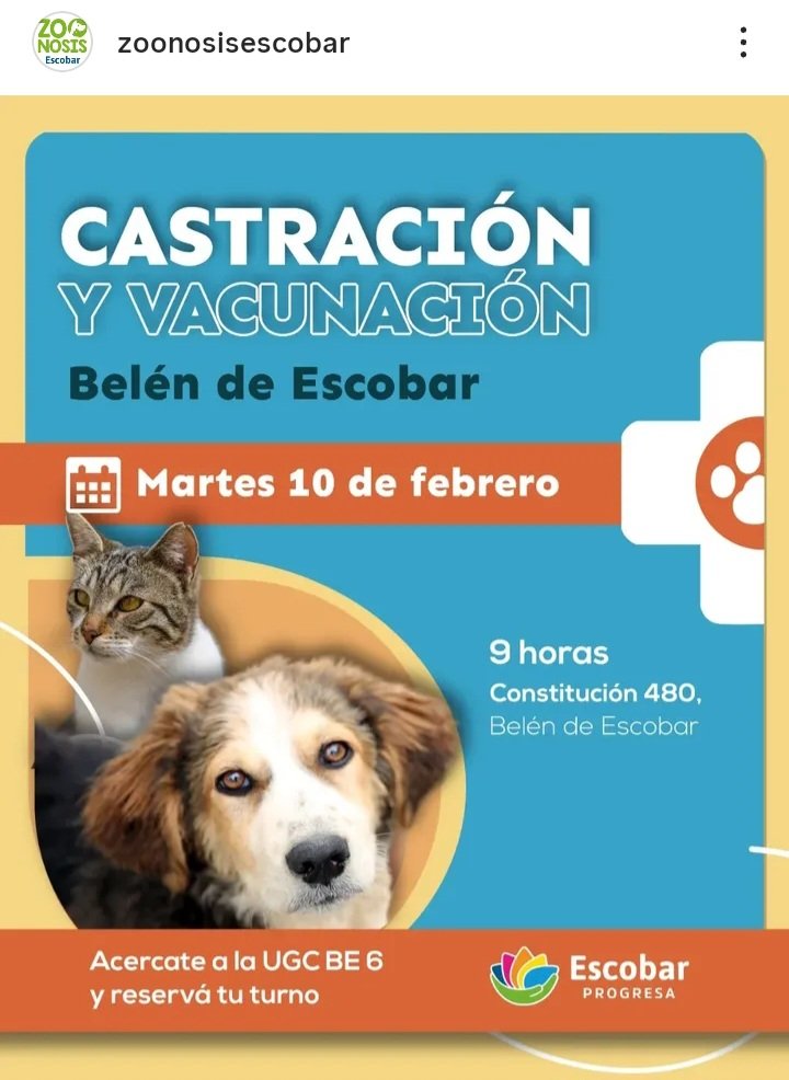 protegealanimal's tweet photo. ESCOBAR - BELÉN DE ESCOBAR/ING. MASCHWITZ
#ESCOBAR #INGMASCHWITZ #MASCHWITZ #GARÍN #MATHEU #MAQUINISTASAVIO #SAVIO #BELÉNDEESCOBAR #LOMAVERDE #ZONANORTE #GRANBSAS #BSAS
Para solicitar turno en el móvil quirúrgico deben acercarse antes de la fecha a la dirección del operativo. https://t.co/HbtFtvNyYy