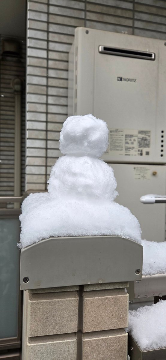 ﾐｰｻｰ tweet media