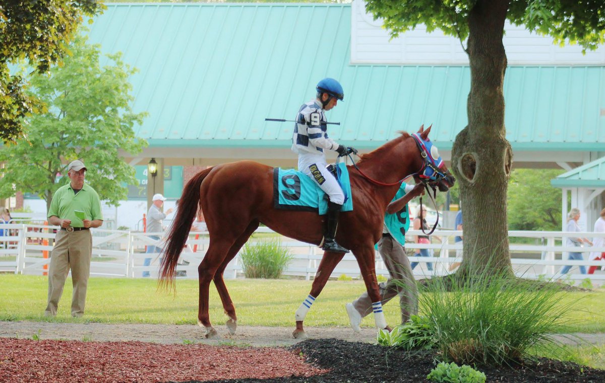 Retired jockey Gerry Olguin zurl.co/ACdnm achieved over 2,000 wins during a career spanning decades in Canadian horse racing. Reaching major milestones at Woodbine Racetrack, he earned the respect of fans, riders, and trainers alike. Learn more on Jockey's Canada.