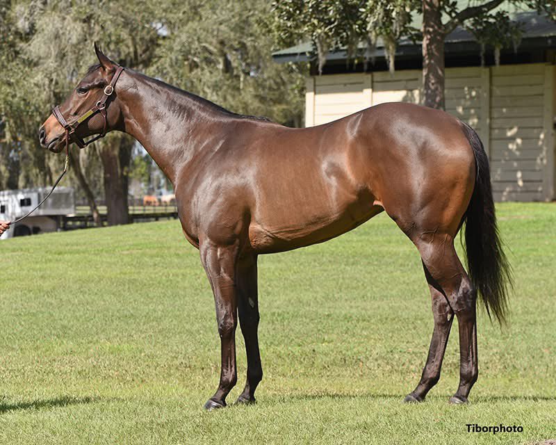 Top Line Sales tweet media