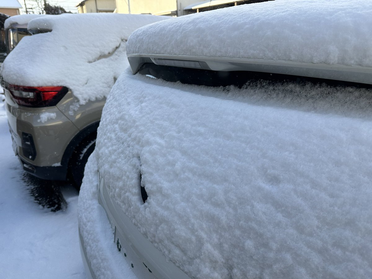 Nissy51's tweet photo. 朝起きて珍しく雪⛄️
昼には終わると思ったけどまだ降ってるなぁ･･･:;((•﹏•๑)));:
久しぶりにアヒルだるま隊登場🎶 https://t.co/kZTN3s01tu
